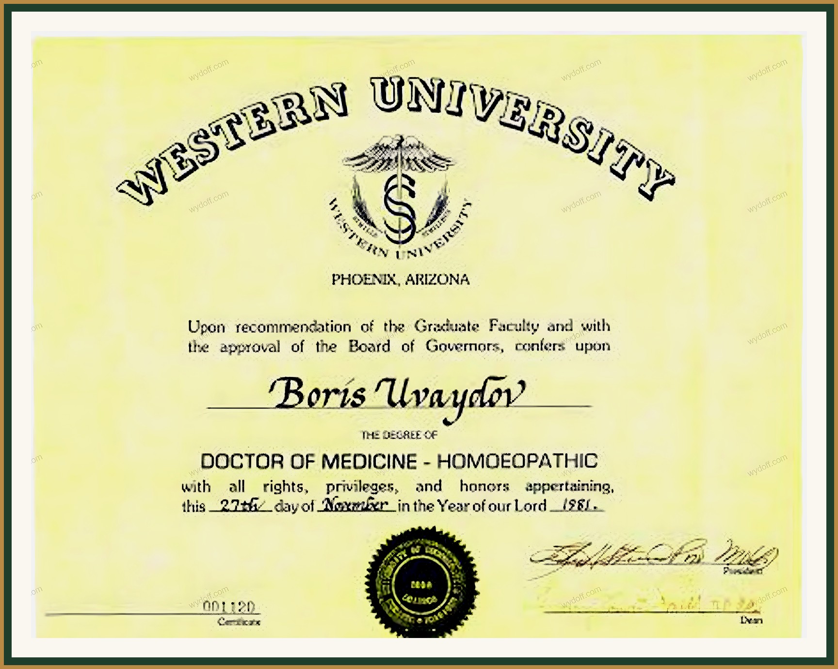 Western University (Аризона, США), 1981 — Doctor of Medicine: гомеопатия