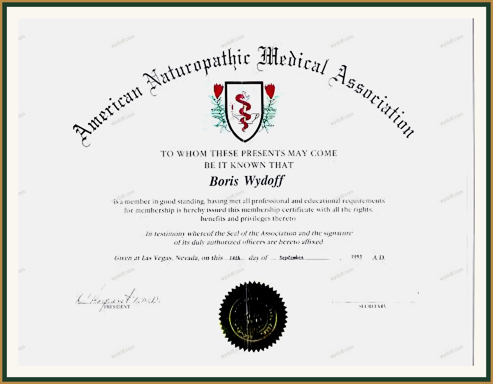 American Naturopathic Medical Association (Лас-Вегас), 1995